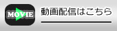 動画配信