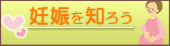 妊娠を知ろう