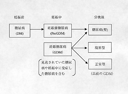 試験 妊婦 負荷 糖