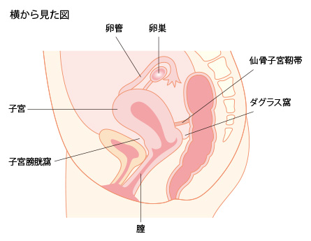 子宮 内 膜 症 症状