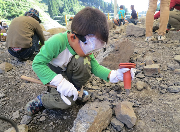 福井県立恐竜博物館で化石の発掘体験