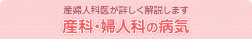 産婦人科医が詳しく解説します 産科・婦人科の病気